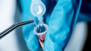 Automated Determination of Drugs of Abuse in Hair Samples – Application note